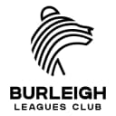 The Bears Group logo